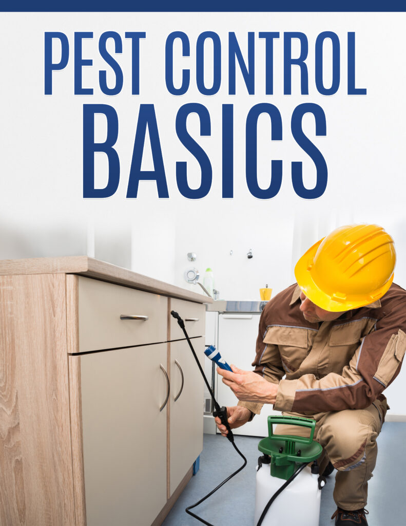 Pests Control Basics – Catch All Pest Control